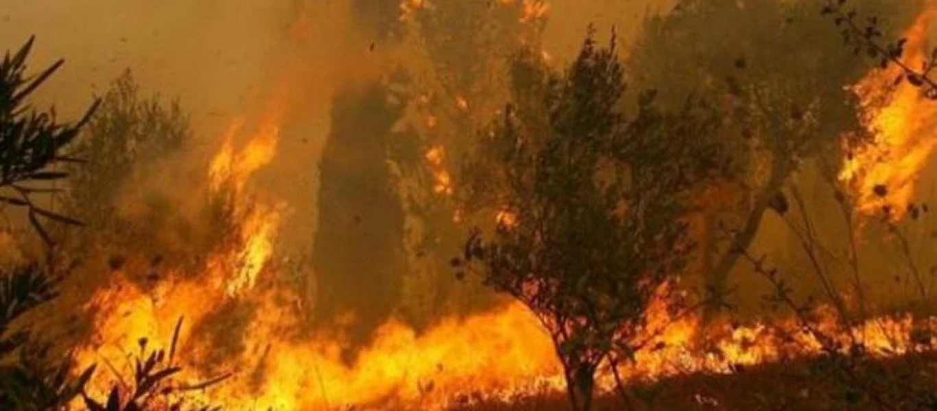 Φωτιά και στα Καλάβρυτα: Επί τόπου ισχυρές πυροσβεστικές δυνάμεις